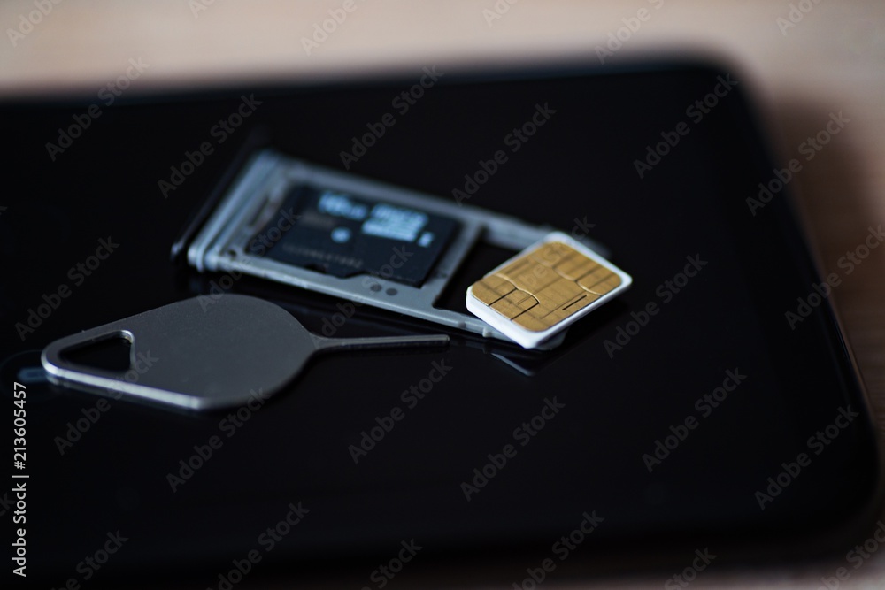 Memory card micro sd and micro sim card tray Memory card micro sd and micro sim card tray