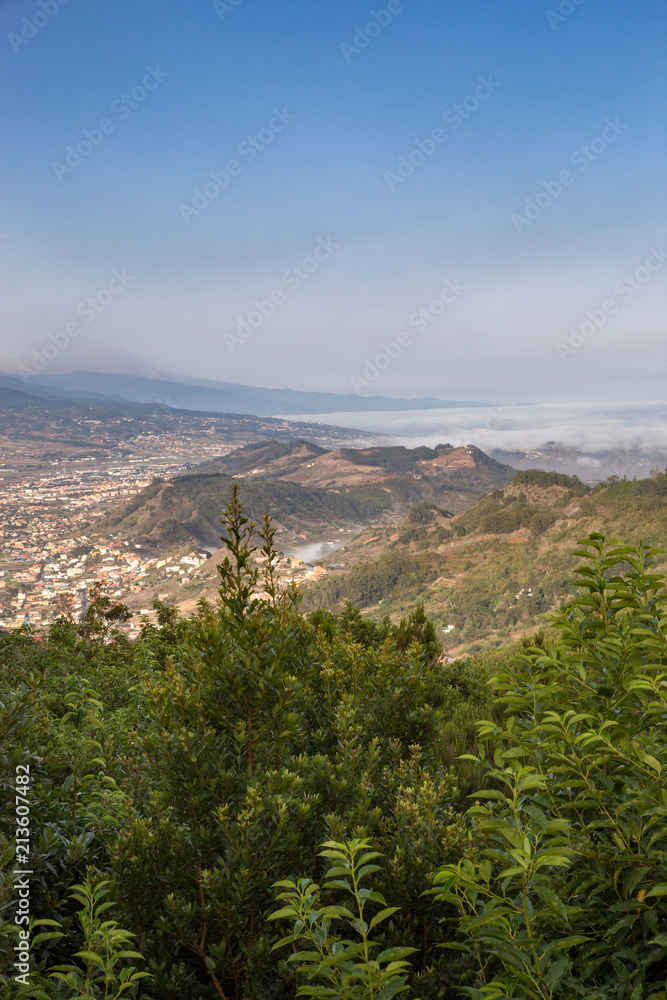 View over Valley in Anaga Mountains with Ocean in the Background, Tenerife, Spain, Europe