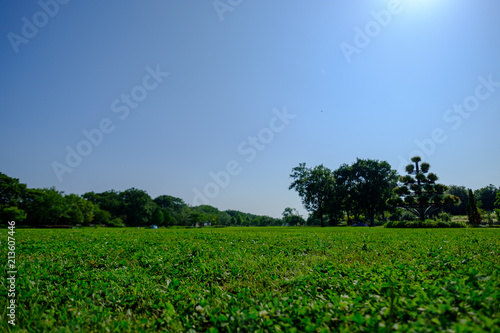 公園と空