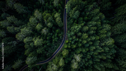 Fototapeta Naklejka Na Ścianę i Meble -  Woodland and street from above