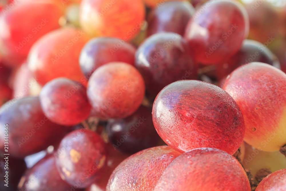 red grapes on white background red grapes on white background