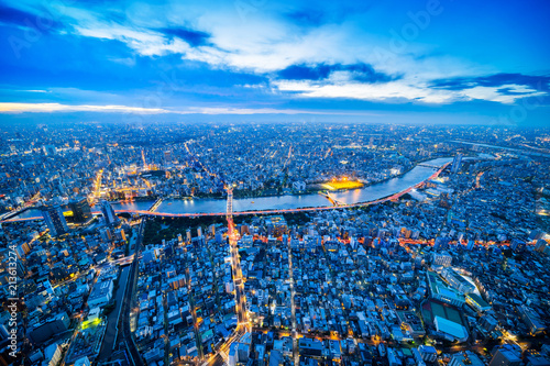 Asia Business concept for real estate and corporate construction - panoramic urban city skyline aerial view under twilight sky and neon night in tokyo, Japan photo