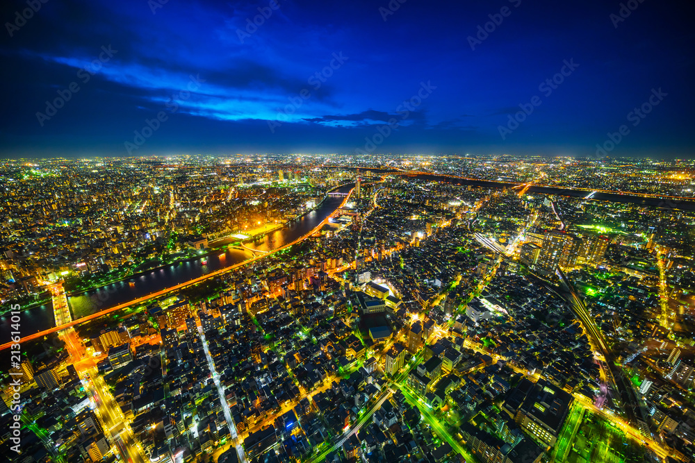 Asia Business concept for real estate and corporate construction - panoramic urban city skyline aerial view under twilight sky and neon night in tokyo, Japan