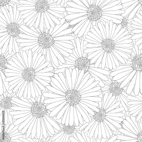 Fototapeta Naklejka Na Ścianę i Meble -  Aster, Daisy Flower Outline Seamless Background