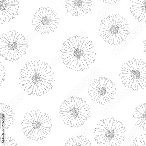 Aster  Daisy Outline Seamless on White Background