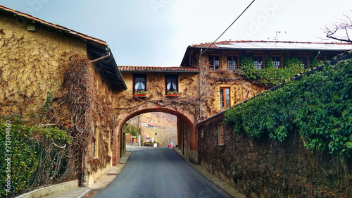 old house covered by plants