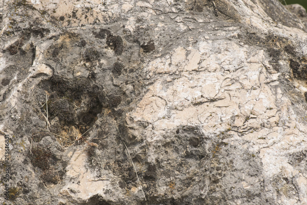 Fototapeta premium texture of various stones close-up of different colors and shades of background