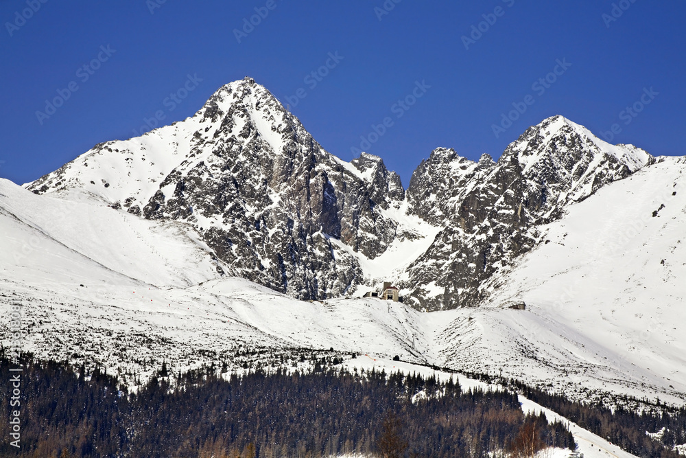 Obraz premium High Tatras near Tatranska Lomnica. Slovakia