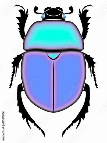 illustration of beetle , vector draw