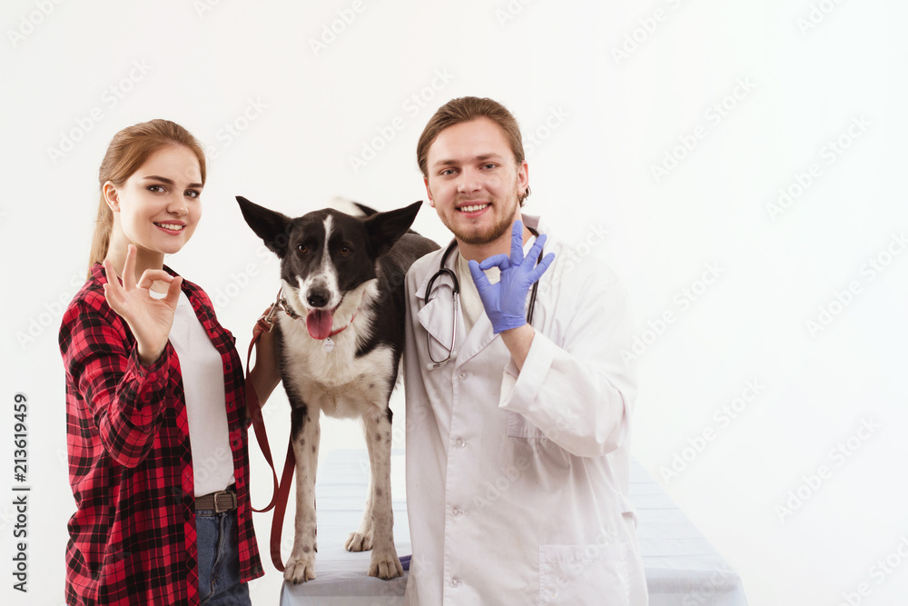 Vet doctor and pet owner showing OK signs. Dog sitting on table in between their vet and their owner standing near and showing OK sign.