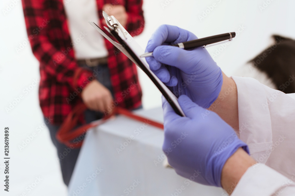 Veterinarian writing down notes on clipboard. Close up shot of doctors hands in blue rubber gloves holding clipboard and writing on it. Patient in background.