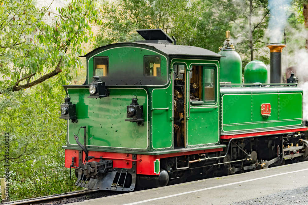 Obraz premium Loco 6A