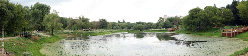 Pond in park