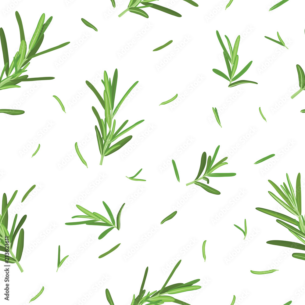 Seamless pattern of green rosemary leaves on white background template. Vector set of element for advertising, packaging design of condiment products. Seamless pattern of green rosemary leaves on white background template. Vector set of element for advertising, packaging design of condiment products.