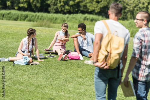 multiethnic teenage students sitting on grass and studying while classmates walking on foreground in park © LIGHTFIELD STUDIOS