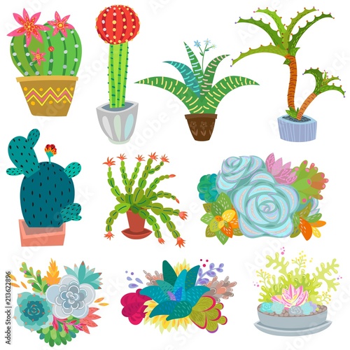 Cactus vector botanical cacti potted cute cactaceous succulent plant botany illustration floral set of cartoon exotic flowers isolated on white background
