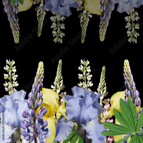 Fototapeta Naklejka Na Ścianę i Meble -  Beautiful floral background of lupins and irises 