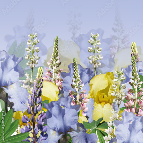 Fototapeta Naklejka Na Ścianę i Meble -  Beautiful floral background of lupins and irises 