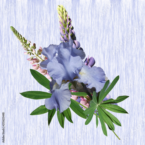 Fototapeta Naklejka Na Ścianę i Meble -  Beautiful bouquet of iris and lupine 