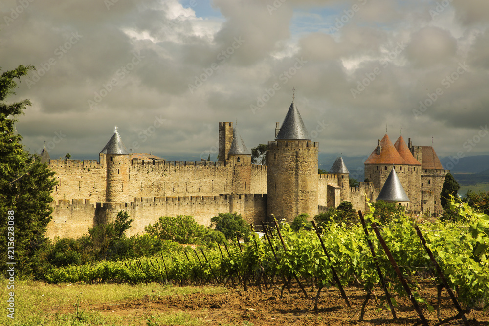 carcassonne 3