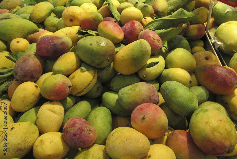 Exotic tropical fruits mango closeup on a market