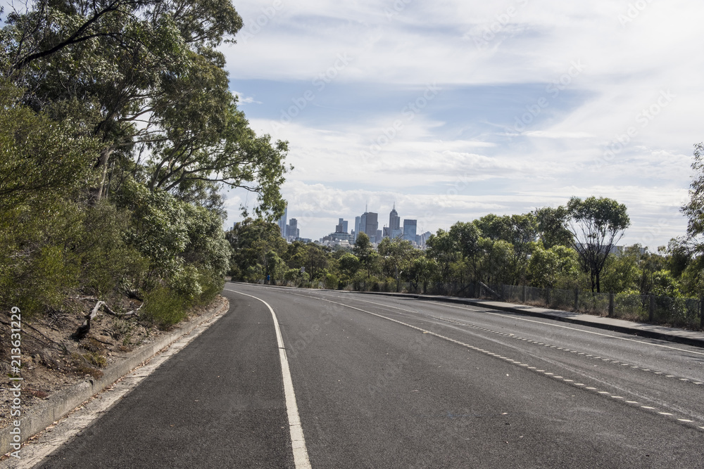 Empty Asphalt Road in Nature on a Bright Day