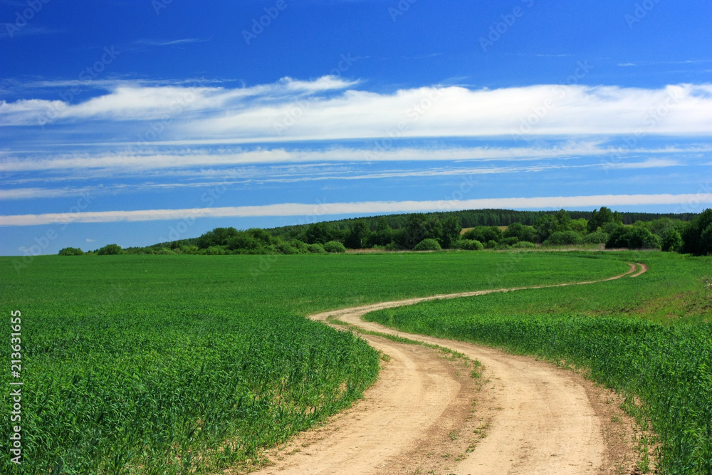 Fototapeta premium A dirt road in the field