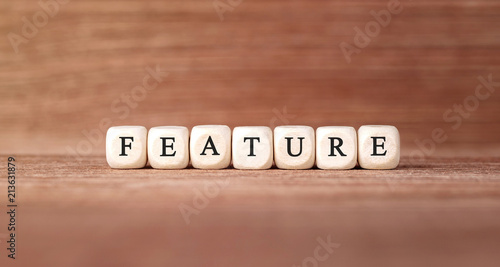 Word FEATURE made with wood building blocks