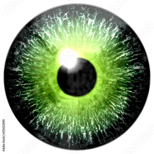 Fototapeta Naklejka Na Ścianę i Meble -  Green eye texture with white background