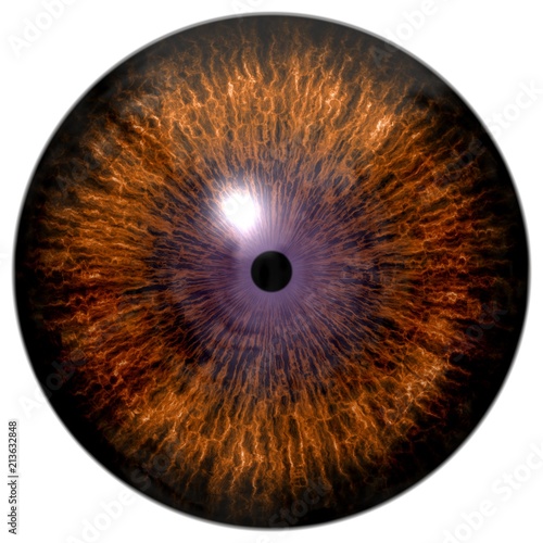 Brown eye texture with black fringe and white background