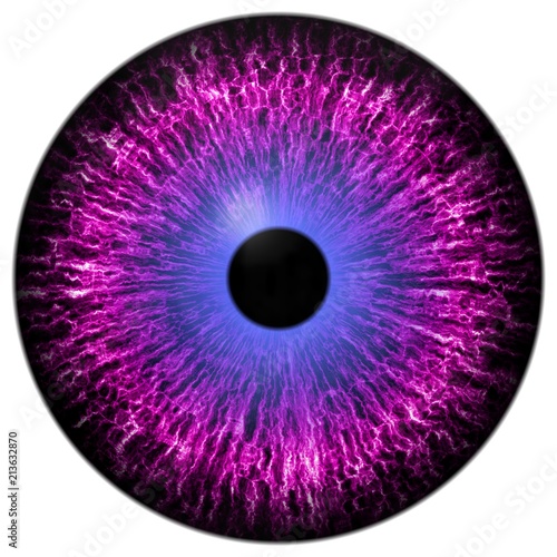 Purple eye texture with white background