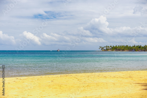 sea surf on the beach