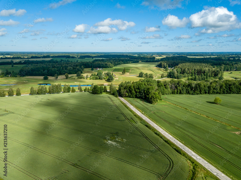drone image. aerial view of rural area with green cultivated fields