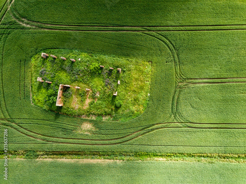 drone image. aerial view of rural area with green cultivated fields and old abandoned building ruins in the middle