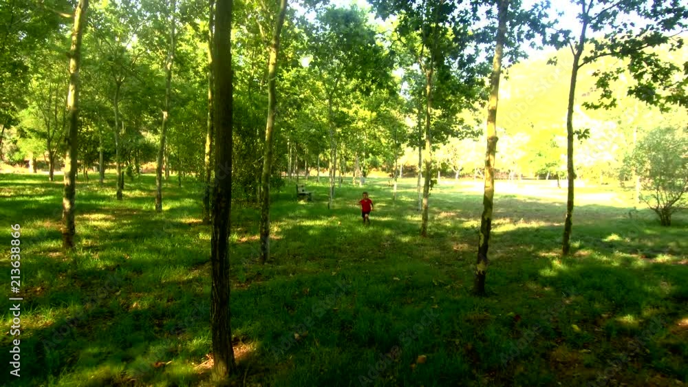 Little kid running through the trees of a forest. Aerial view. Little kid running through the trees of a forest. Aerial view.