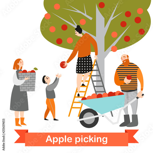 Happy family is picking apples in the garden. Harvest time. Children help their parents on the farm. Vector illustration on a white background