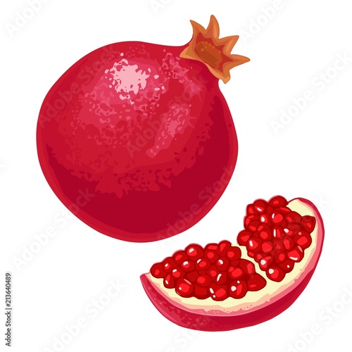 Whole and slice garnet fruit with seed. Vector flat illustration
