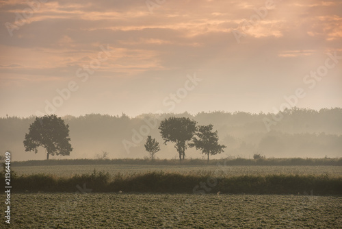 Field in down, foggy landscape background