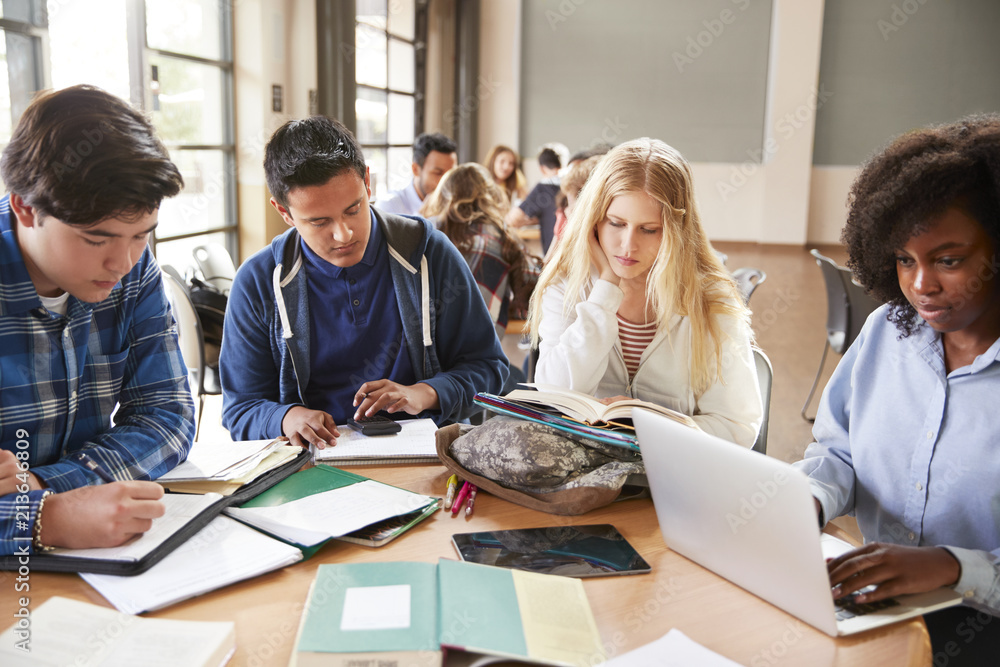Fototapeta premium High School Students Using Laptops And Digital Tablets Working With Female Teacher At Desk