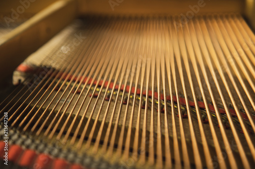The inside of a classical  grand piano instrument with copper cord strings.
