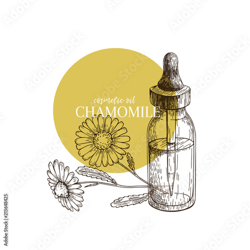 Hand drawn set of essential oil. Vector chamomile daisy flower. Medicinal herb with glass dropper bottle. Engraved art. Good for cosmetics, medicine, treating, aromatherapy, package design healthcare