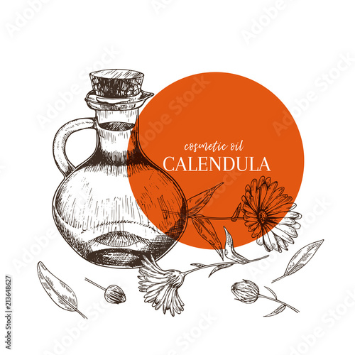 Hand drawn set of essential oils. Vector calendula flower. Medicinal herb with glass dropper bottle. Engraved art. Good for cosmetics, medicine, treating, aromatherapy, package design health care.