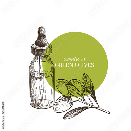 Hand drawn set of essential oils. Vector green oilve branch. Medicinal herb with glass bottle. Engraved art. Good for cosmetics, medicine, treating, cooking, package design, food ingredient.