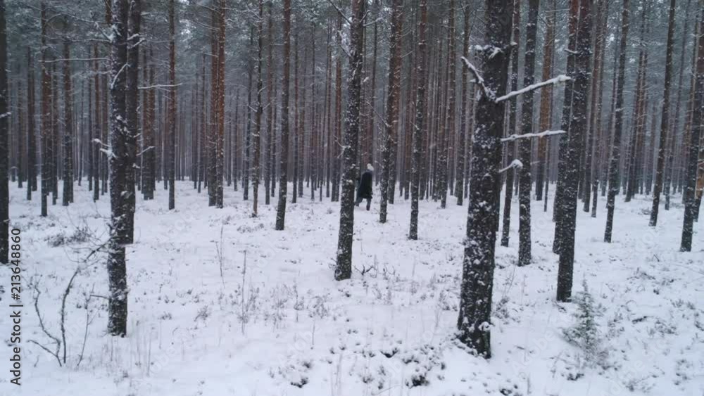 Woman walking in snowy forest between trees in winter dolly shot Woman walking in snowy forest between trees in winter dolly shot