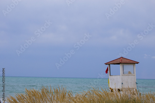 image of a lifeguard tower through the vegetation with the sea in the background