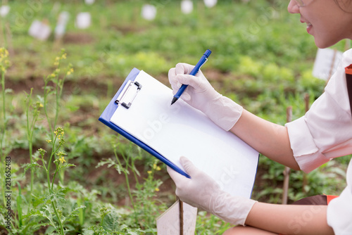 Beautiful young biotechnology woman engineer with clipboard and pen, writing and examining plants for disease with apron and gloves.