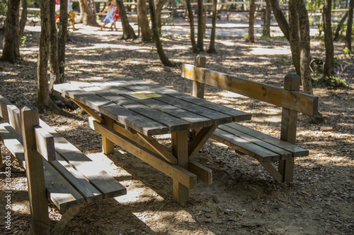 image of wooden camping tables to eat in the pine forest