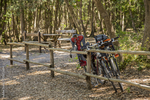 image of a pair of mountain bicycles parked under a pine forest with picnic tables in the background