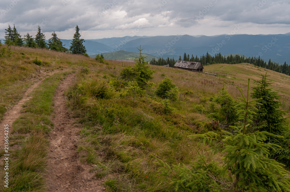 Obraz premium The valley and the road in Carpathian mountains