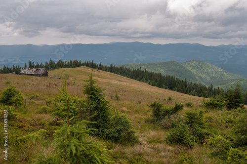 The valley in Carpathian mountains